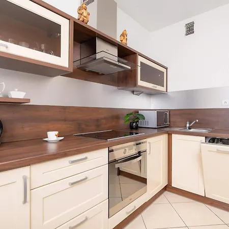 Bright Near Ice With Air Conditioning And Parking By Renters Krakov