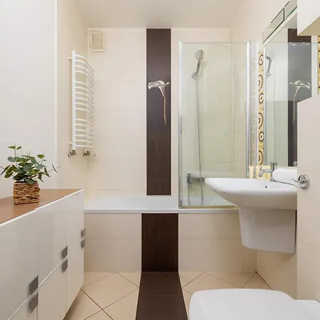 Bright Near Ice With Air Conditioning&parking By Renters *