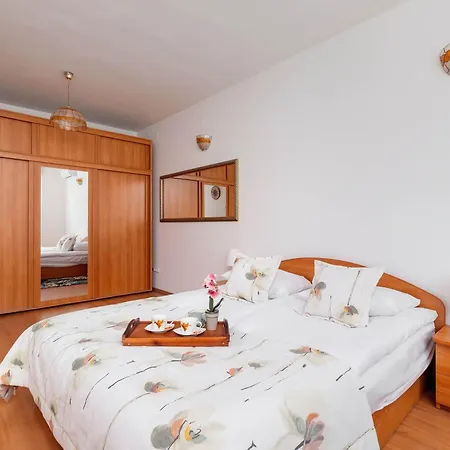 Bright Near Ice With Air Conditioning And Parking By Renters Cracovie